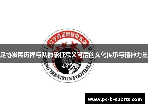 足协发展历程与队徽象征意义背后的文化传承与精神力量