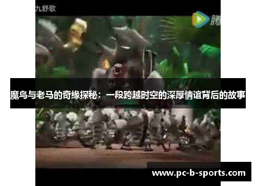 魔鸟与老马的奇缘探秘：一段跨越时空的深厚情谊背后的故事