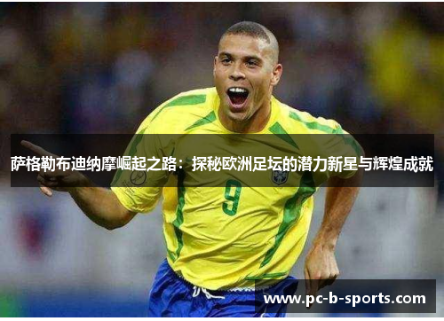 萨格勒布迪纳摩崛起之路：探秘欧洲足坛的潜力新星与辉煌成就